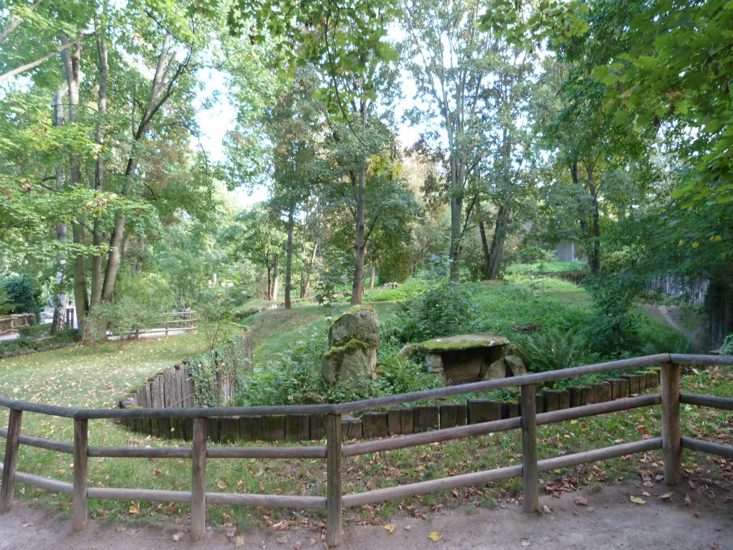 Brown hyena exhibit -Zoo Praha (2025)