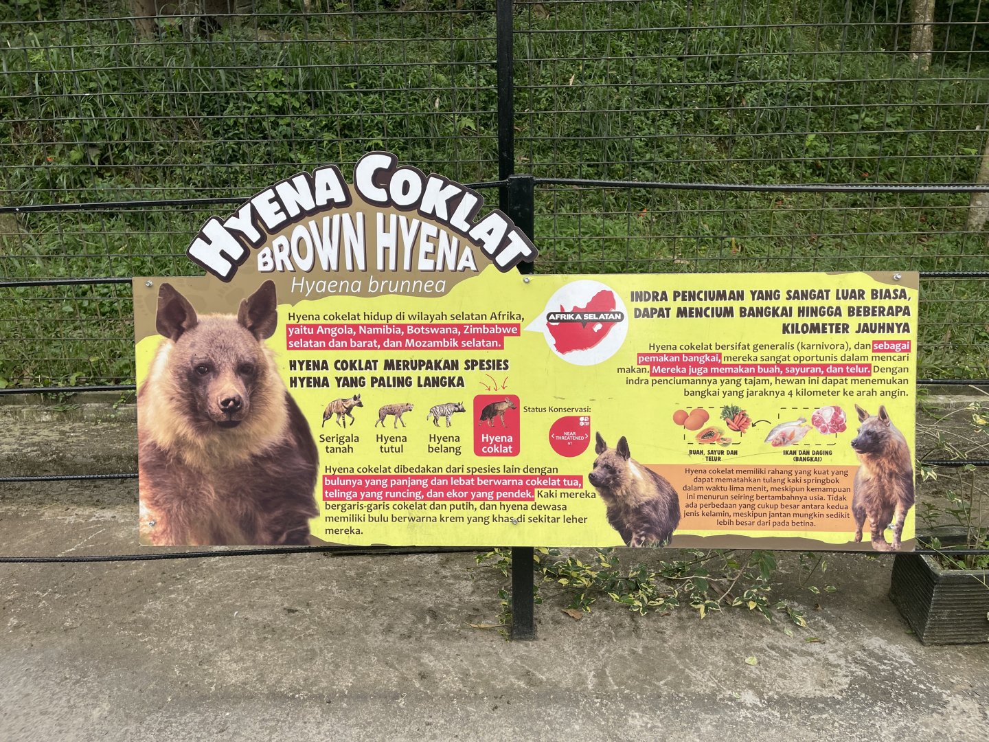 brown hyena signage (1)