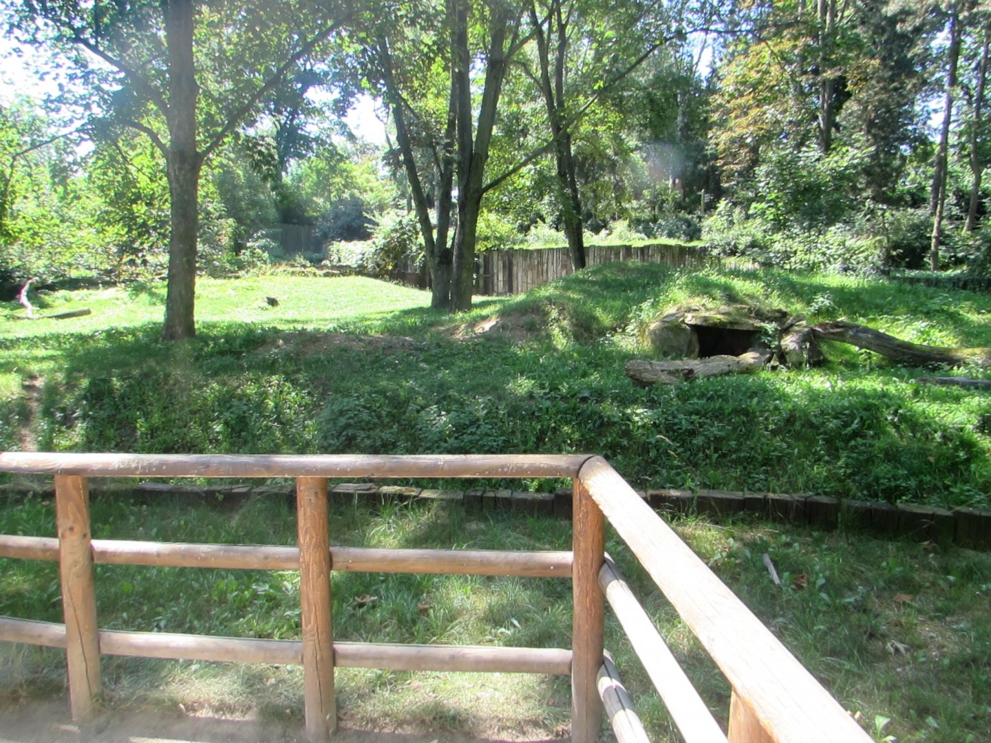 Brown Hyenas enclosure - July/2017