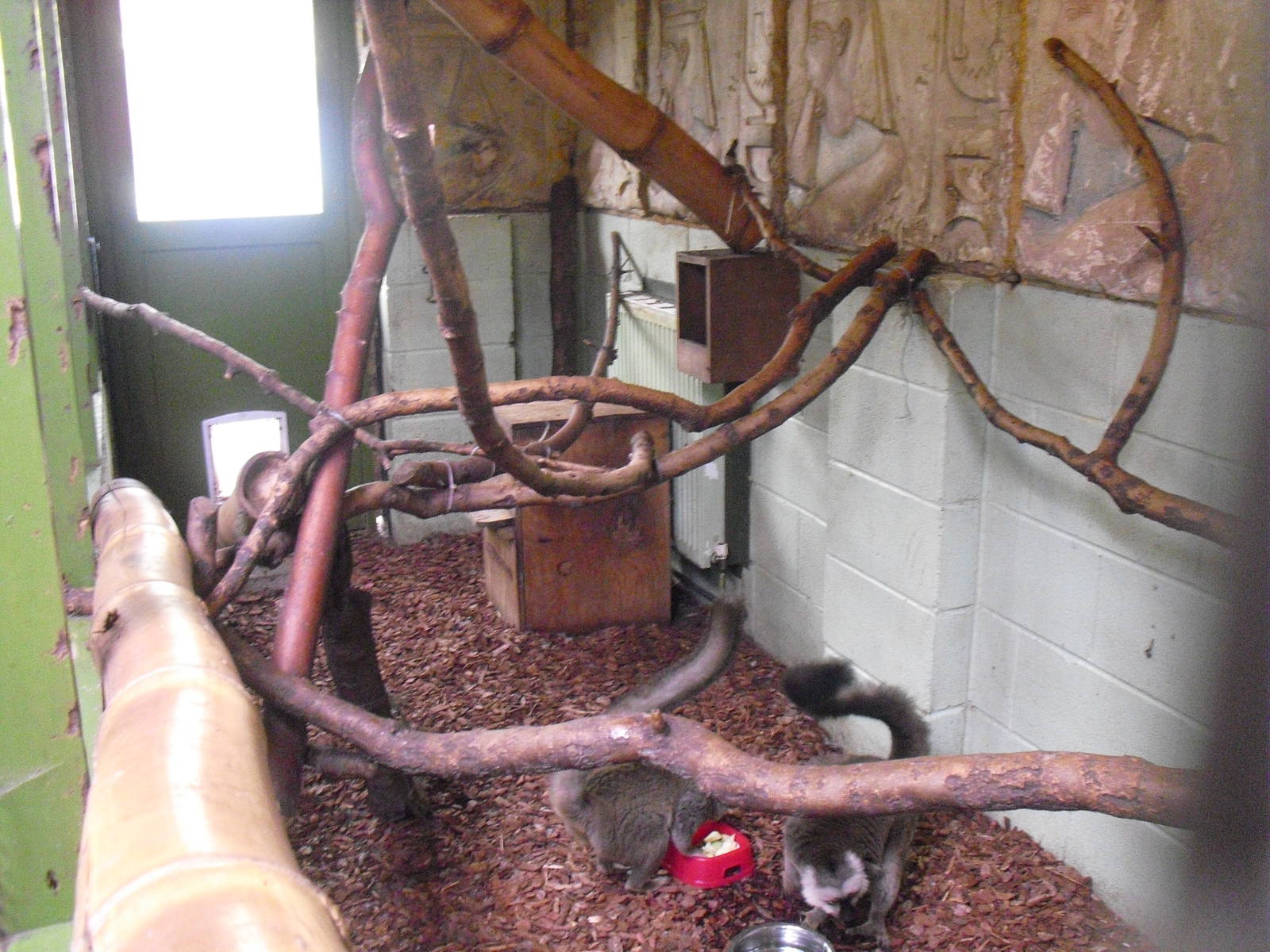 Brown Lemur Enclosure - 16/10/2011