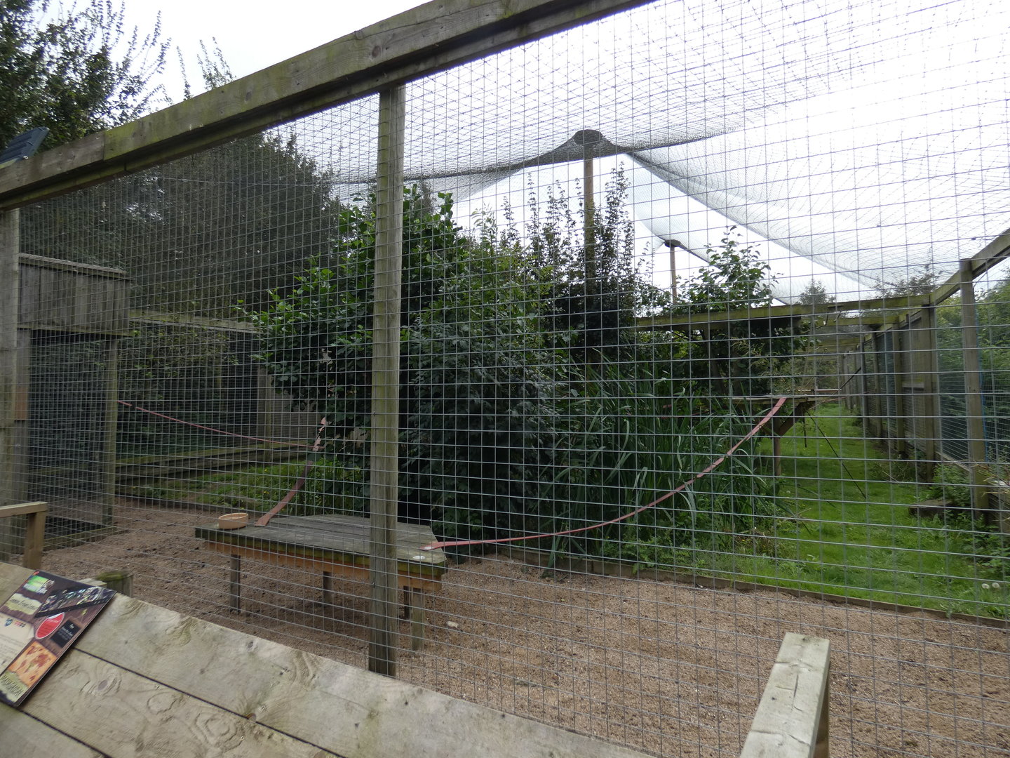 Brown lemur enclosure