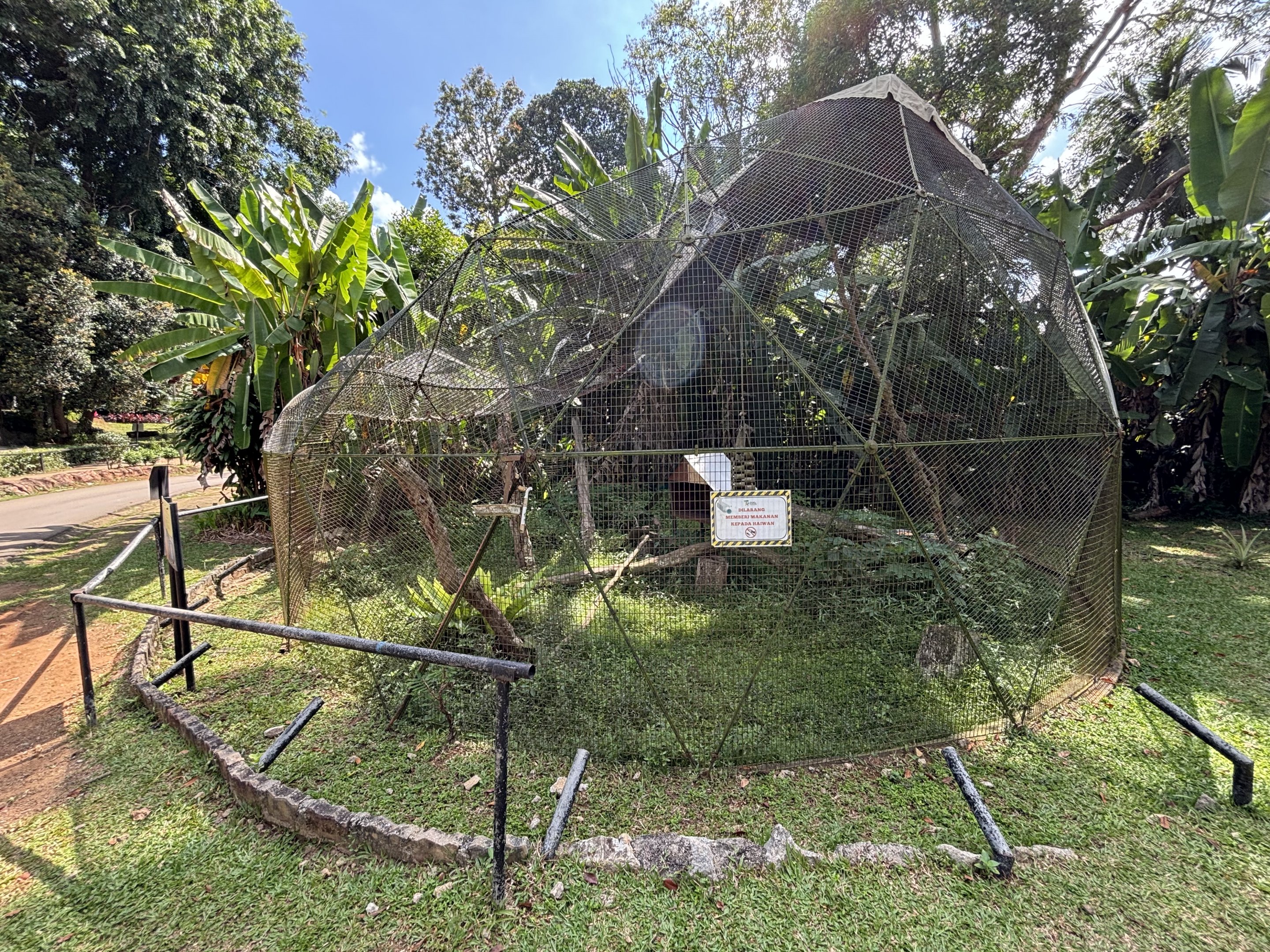 Brown Lemur Exhibit - damaged and closed