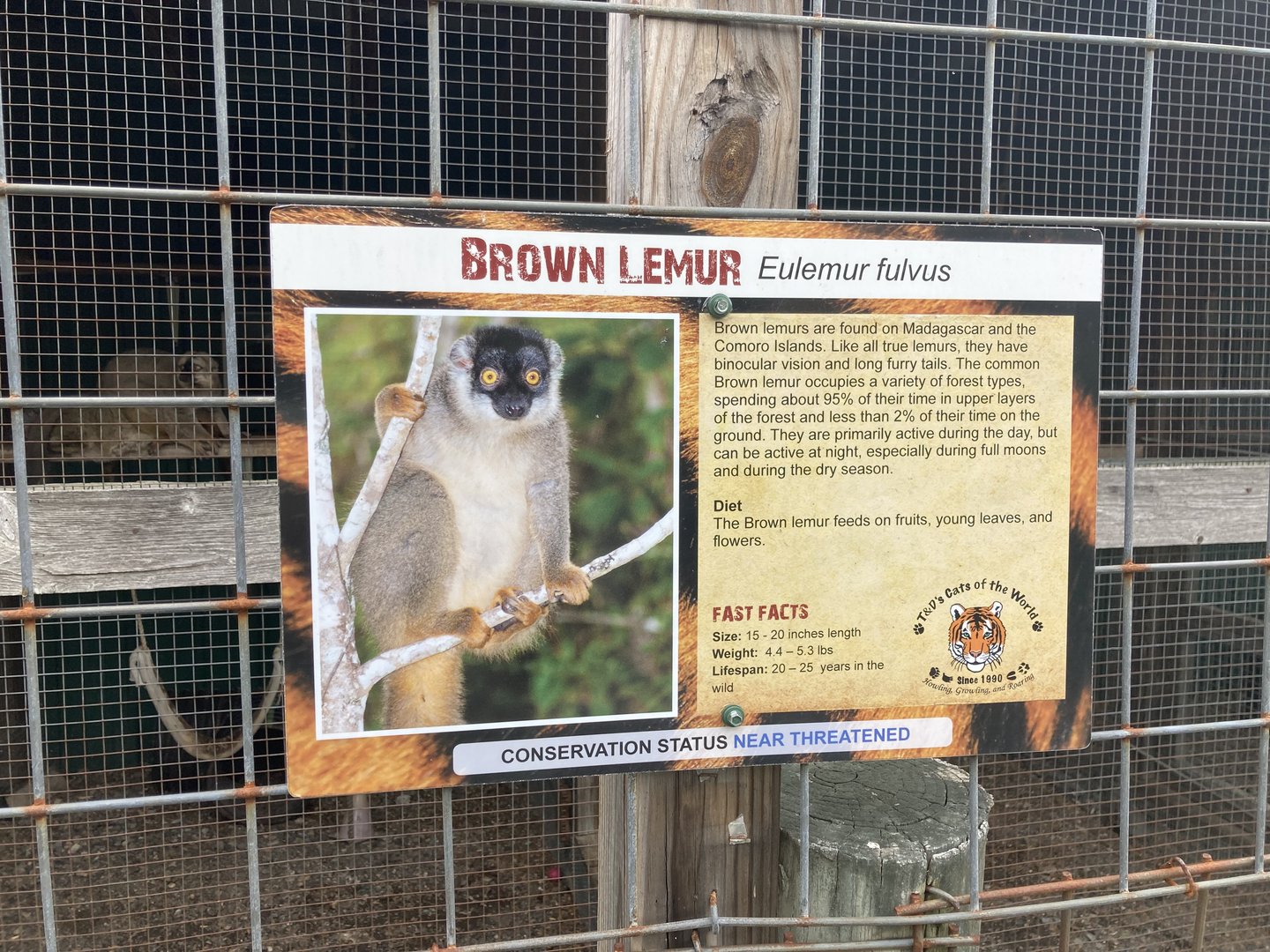 Brown Lemur signage