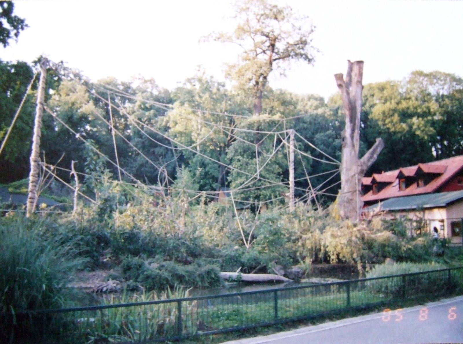 Brown-nosed coati & Brown capuchin mixed exhibit @ Zagreb Zoo, Croatia