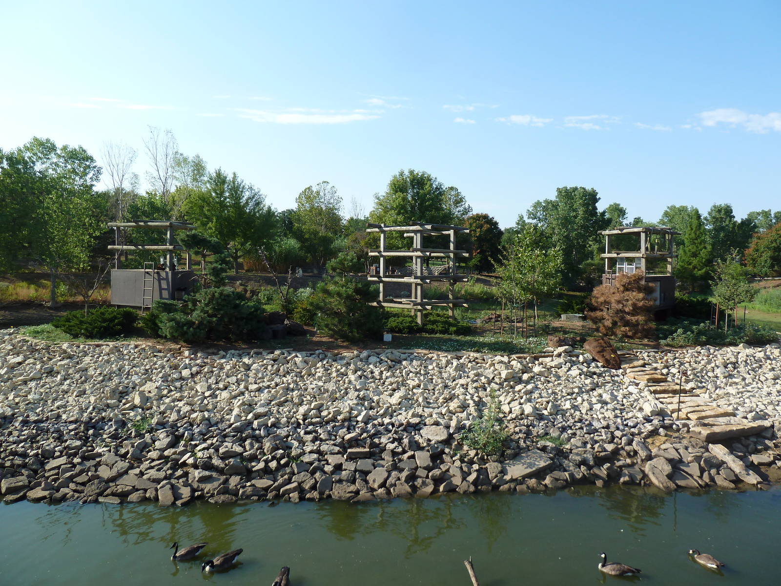 Brown Tufted Capuchin Exhibit