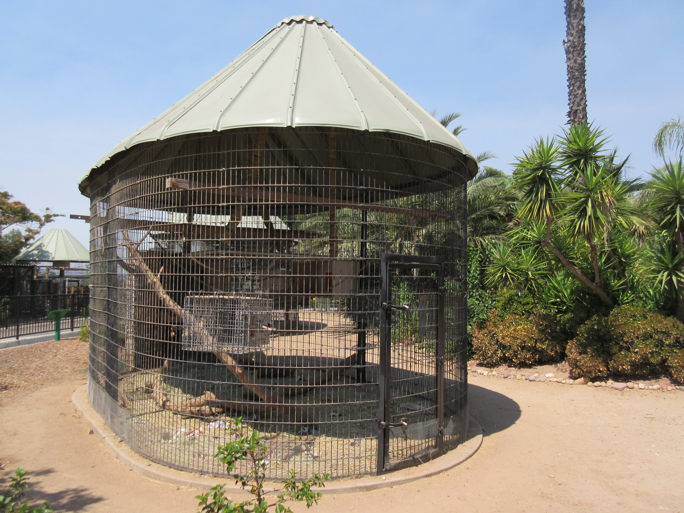 Brown Tufted Capuchin Exhibit