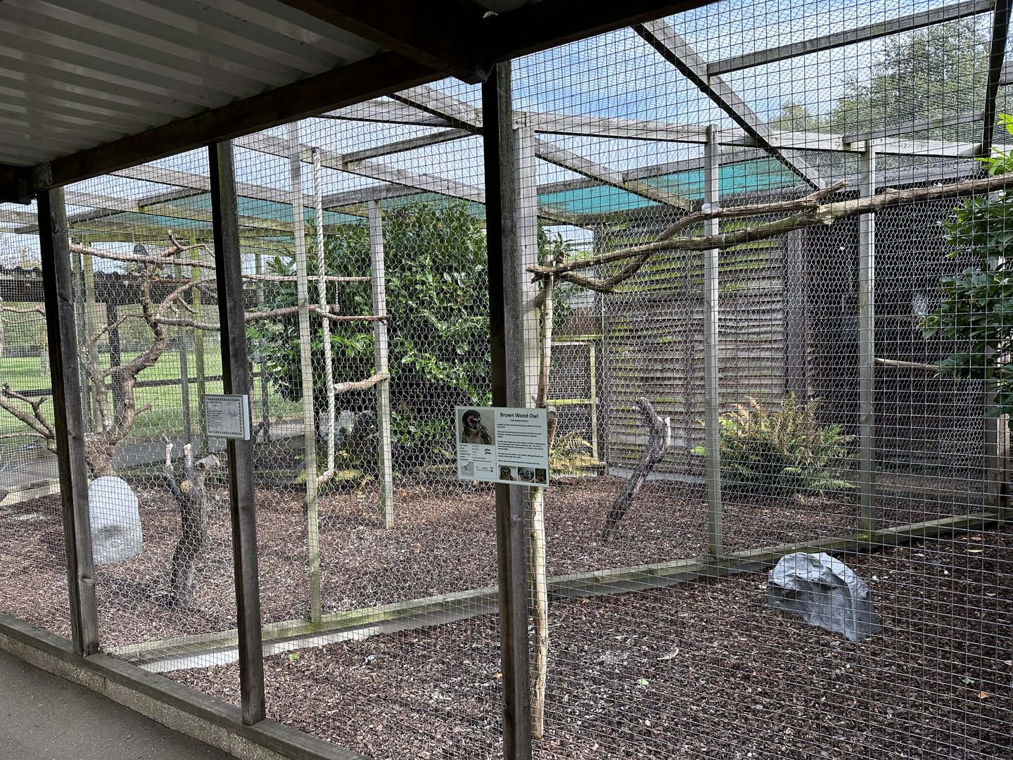 Brown Wood Owl Enclosure at Hamerton Zoo Park (October 2023)