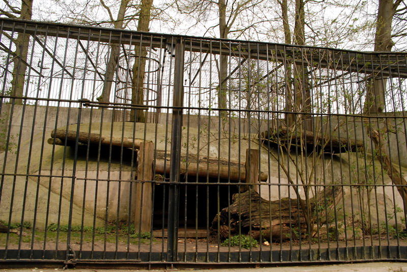 Brownbear enclosure at Lübeck (now closed)