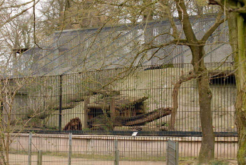 Brownbear enclosure at Lübeck (now closed)