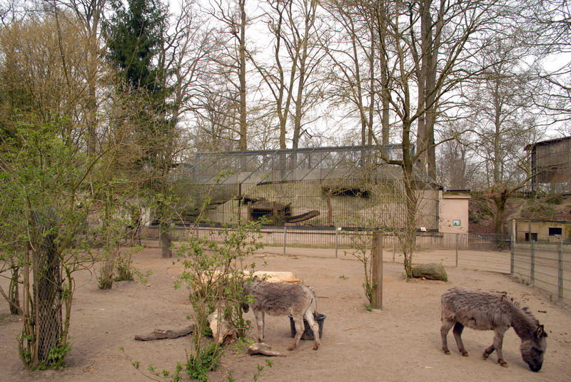 Brownbear enclosure at Lübeck (now closed)