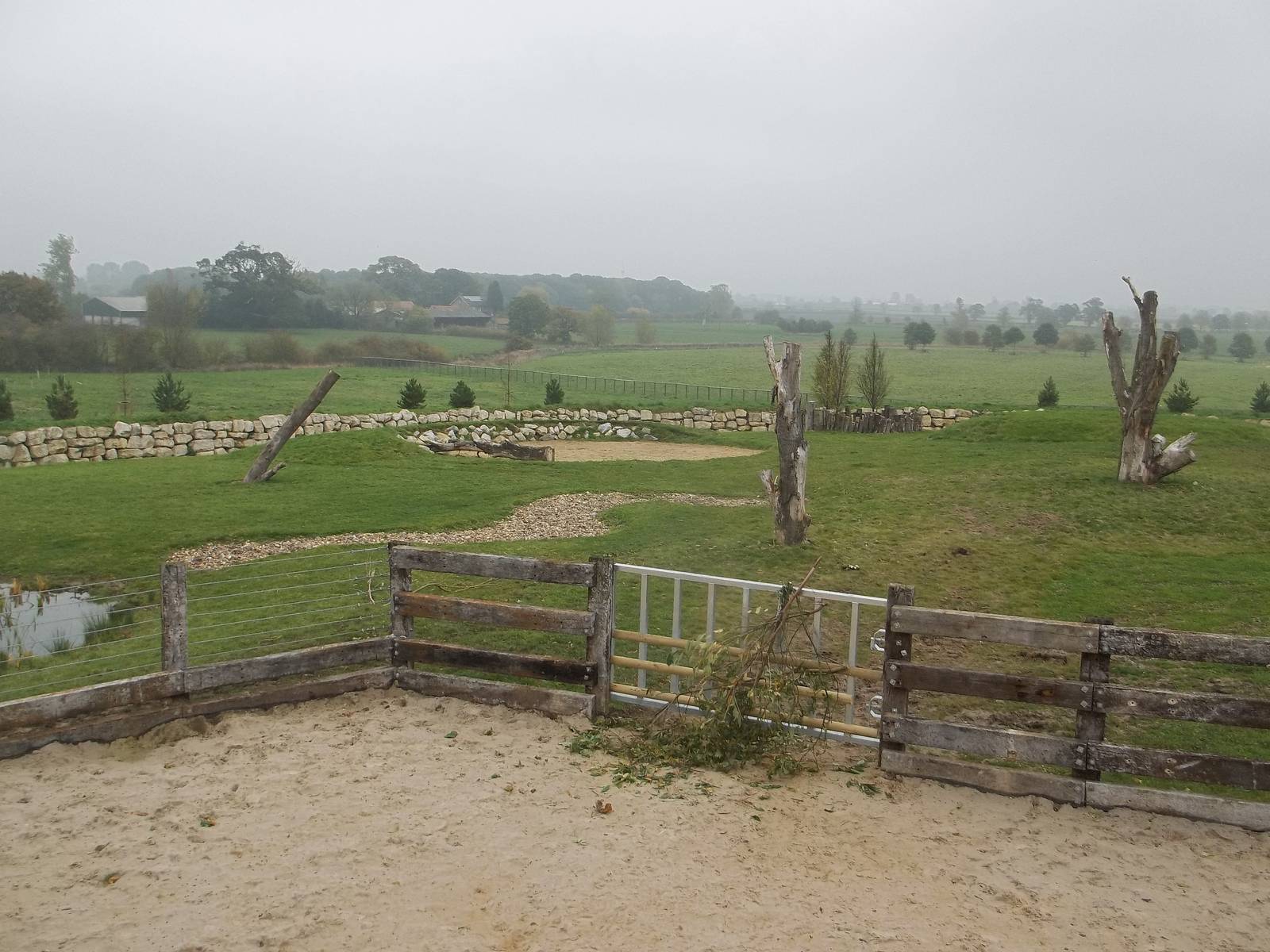 Browse in place for Black Rhinoceroses, 27th October 2015