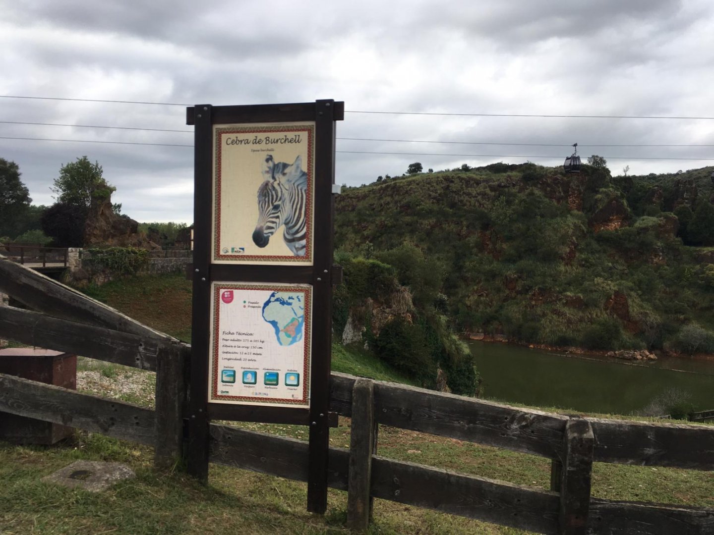 Bruchell's zebra sign-Cabarceno 2019