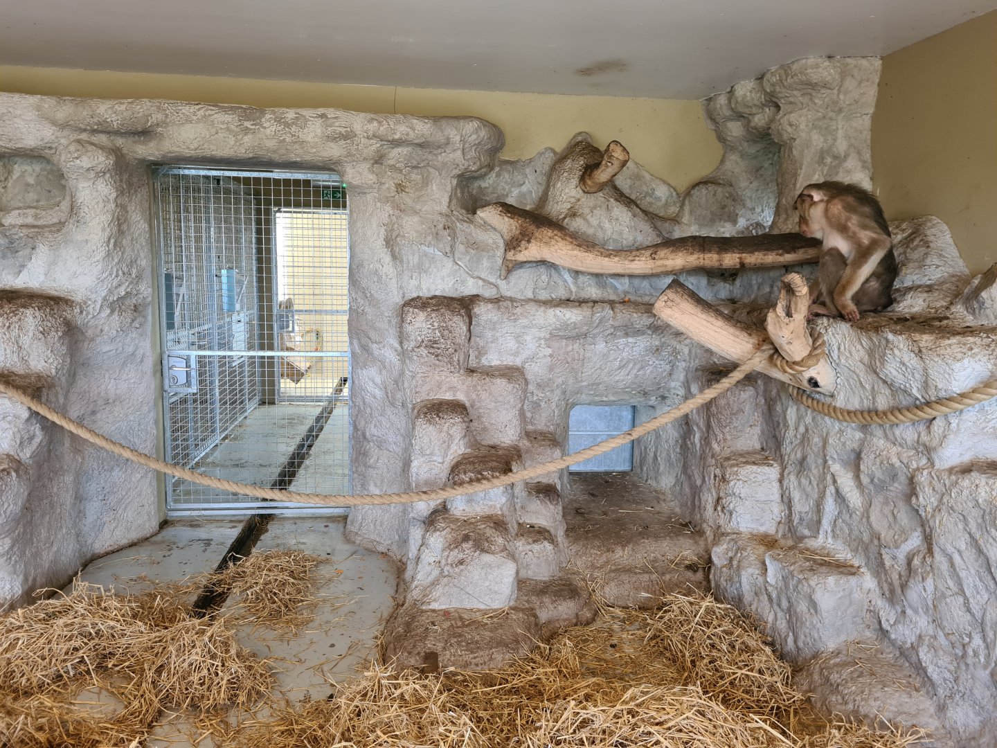 Brums favourite mock rock