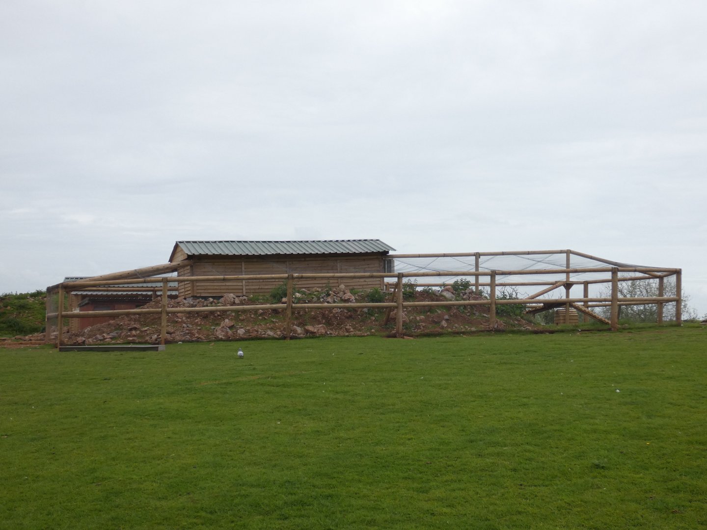 Brush-tailed bettong enclosure