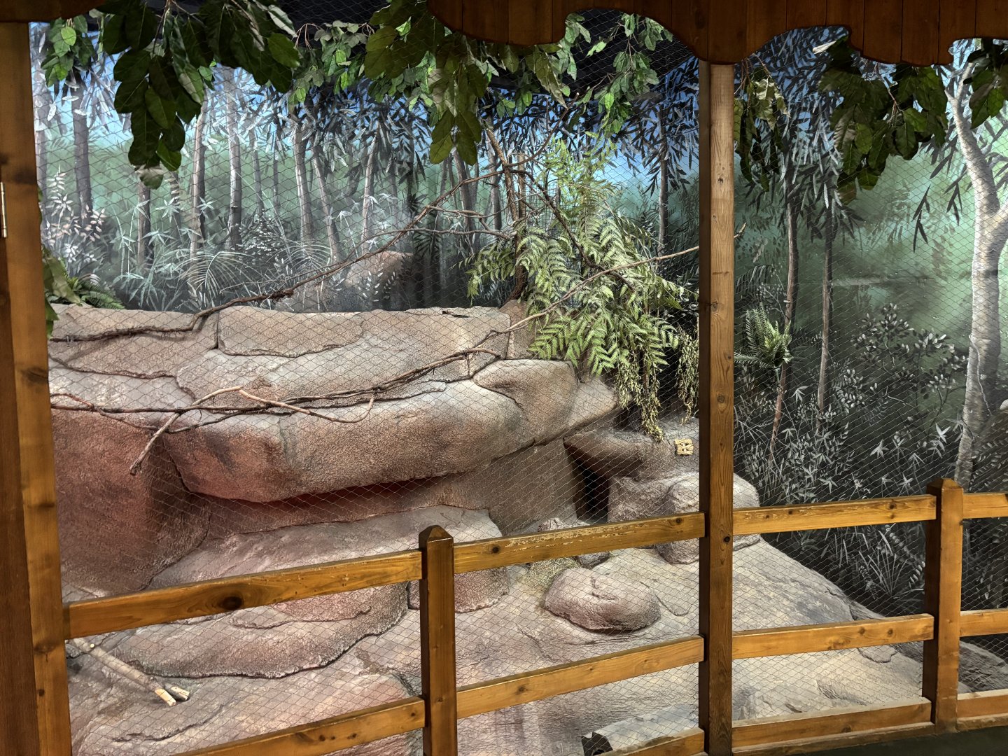 Brush Tailed Bettong Exhibit Illuminated