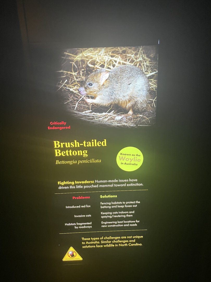 Brush-tailed Bettong Signage