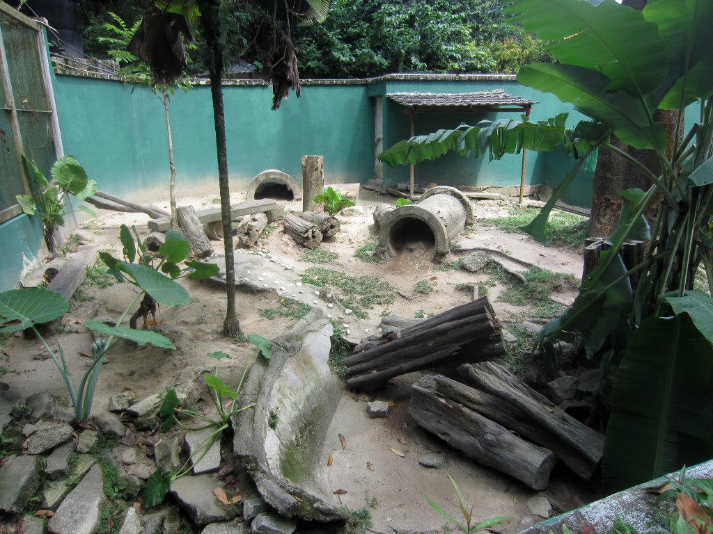 Brush-tailed Porcupine exhibit