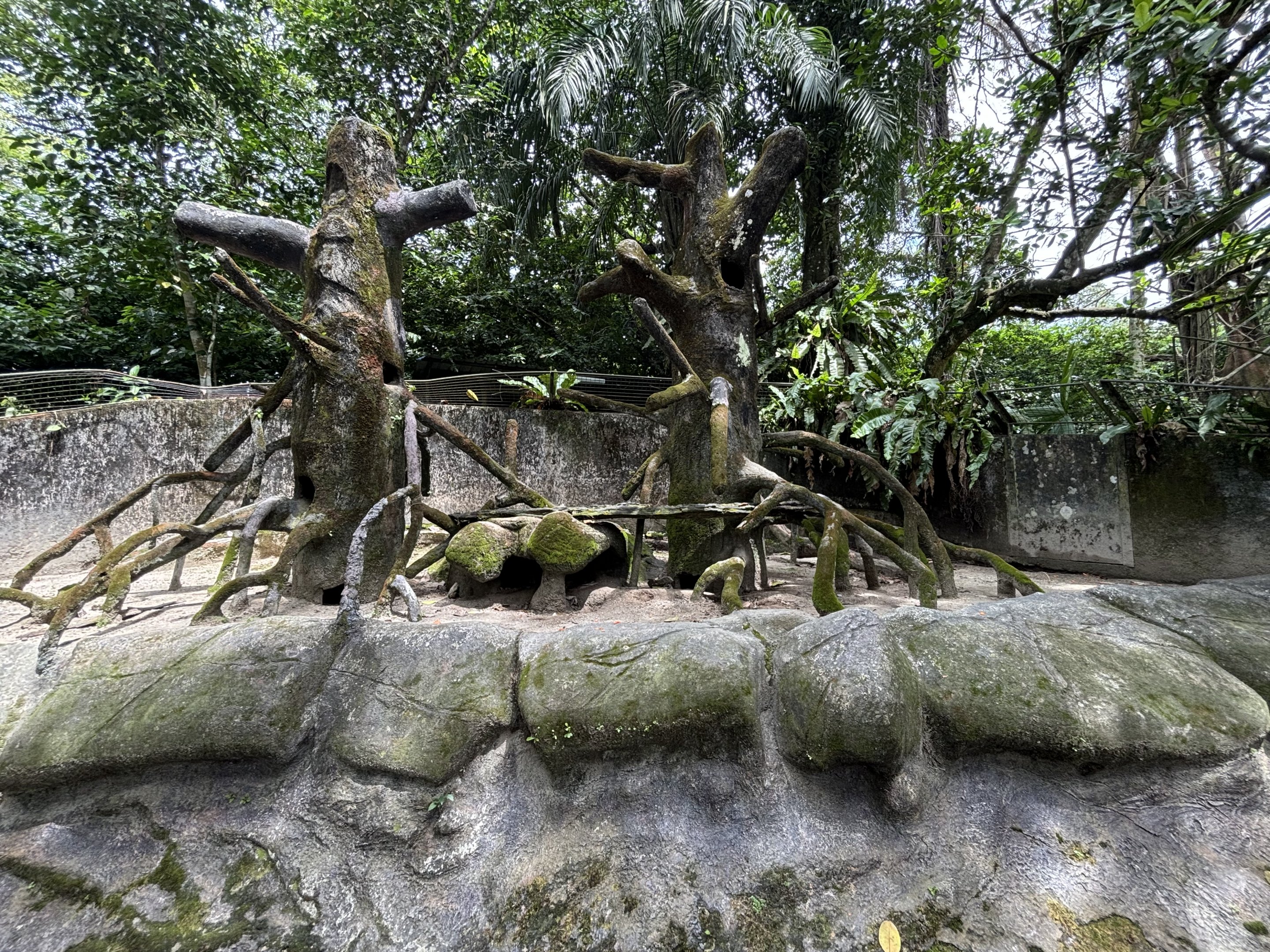 Brush-tailed Porcupine Exhibit