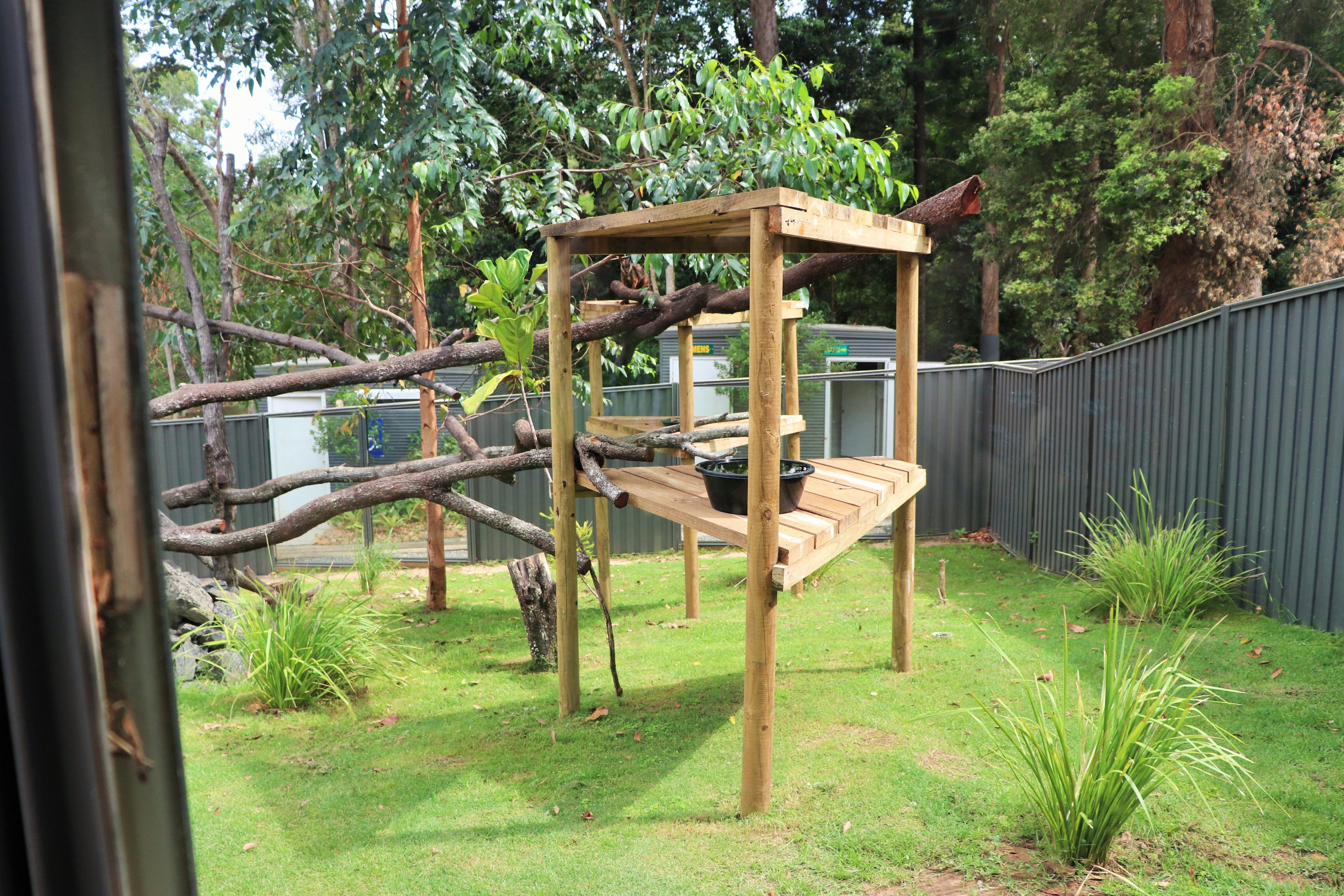 Brush-tailed Rock Wallaby Enclosure