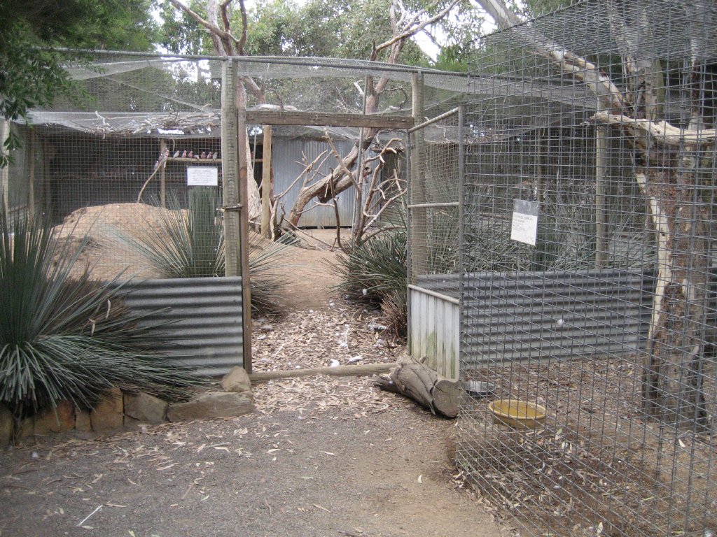 Brush Turkey Aviary