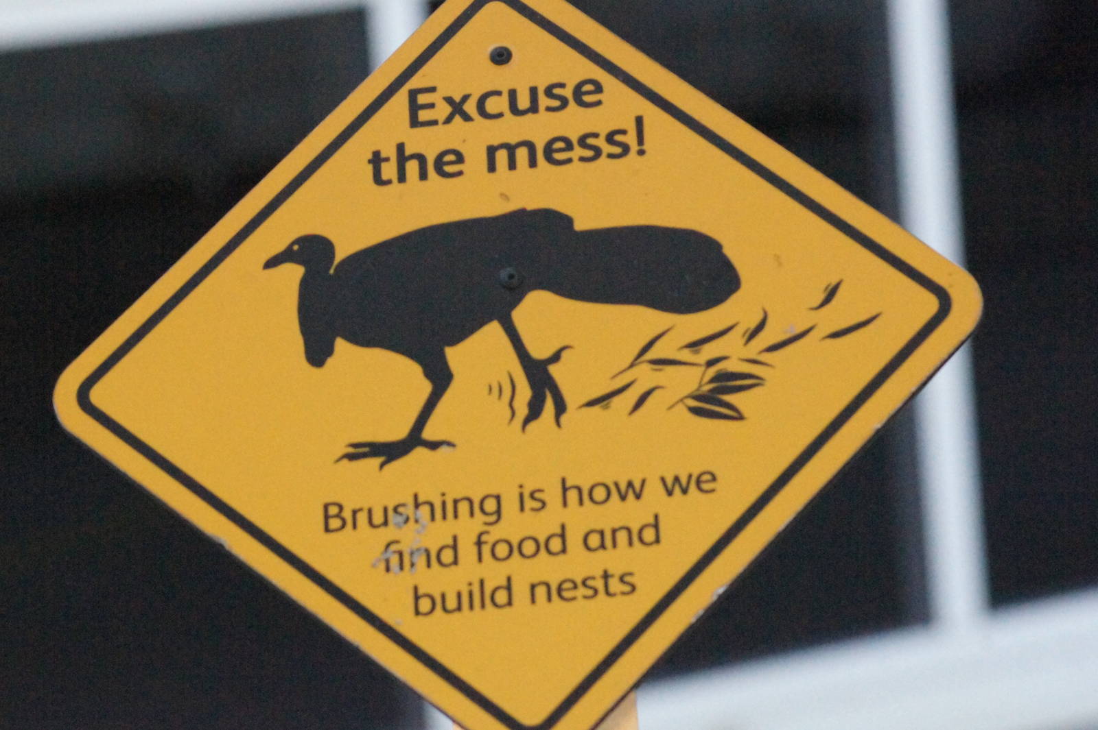 Brush turkey signage