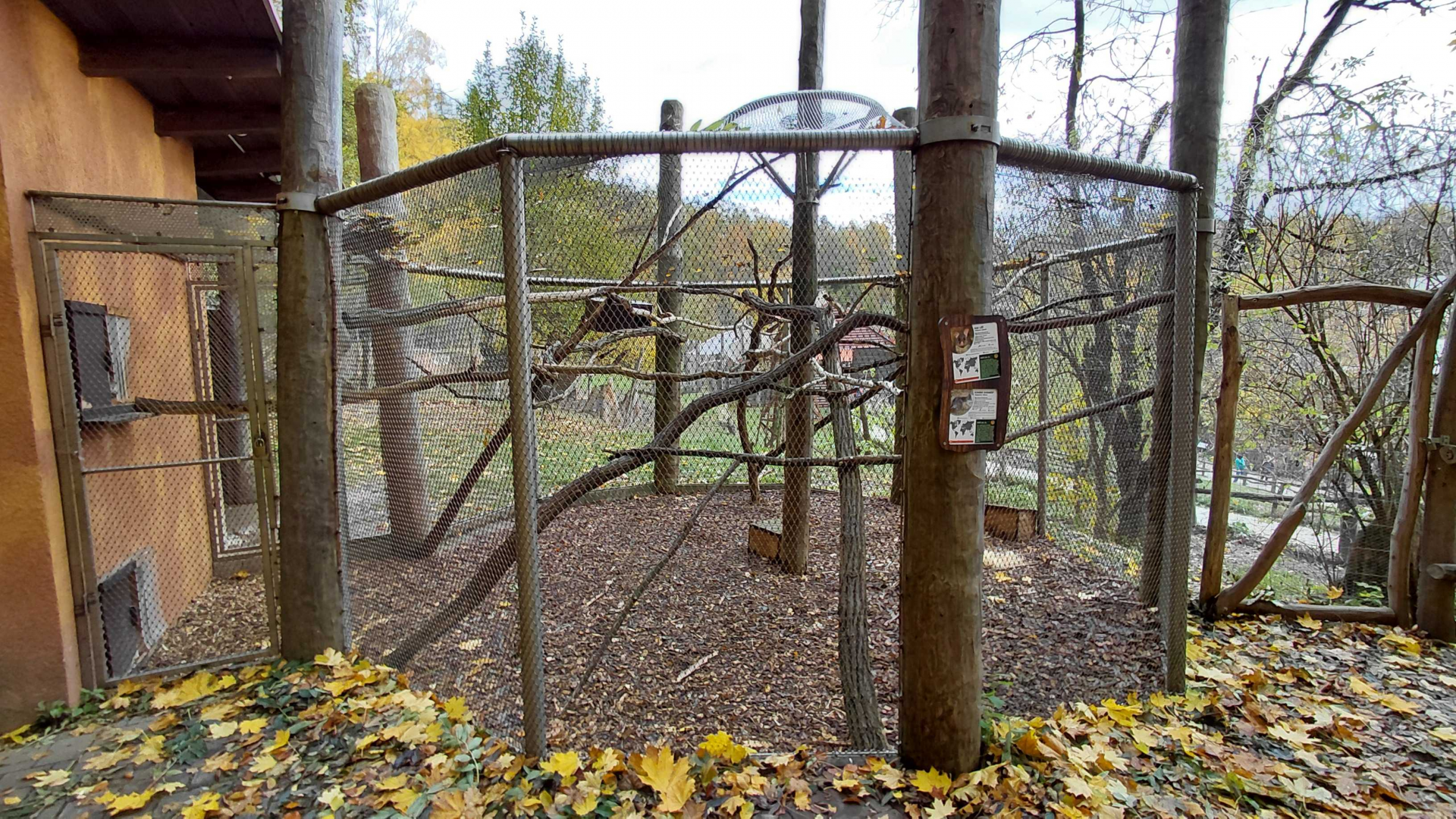 Brushtail possum + bettong outdoor exhibit