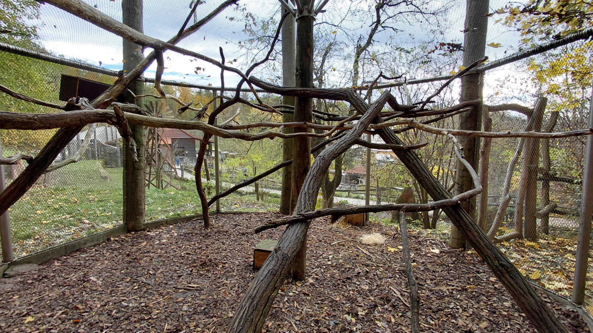 Brushtail possum + bettong outdoor exhibit
