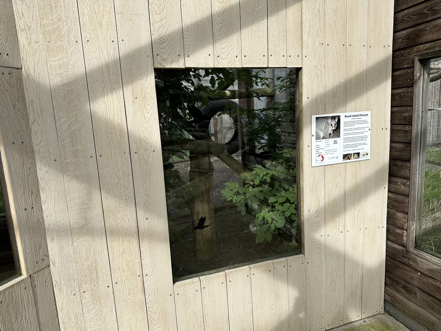 Brushtail Possum Enclosure at Hamerton Zoo Park (October 2023)