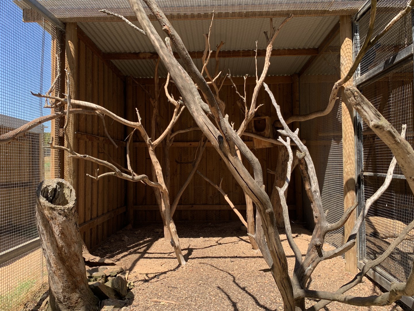 Brushtail Possum Exhibit