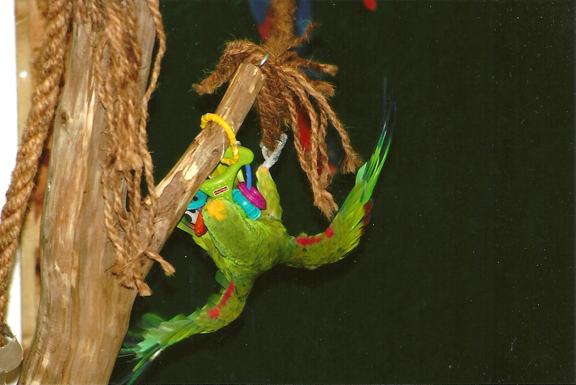 Bubba, 9th September 2011