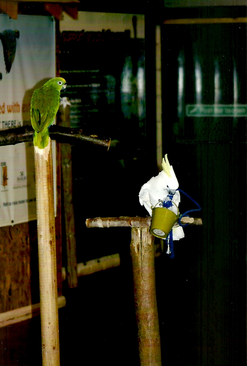 Bubba and Chucky, September 2013