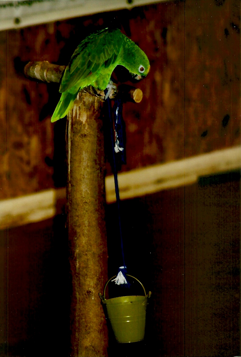 Bubba, September 2013