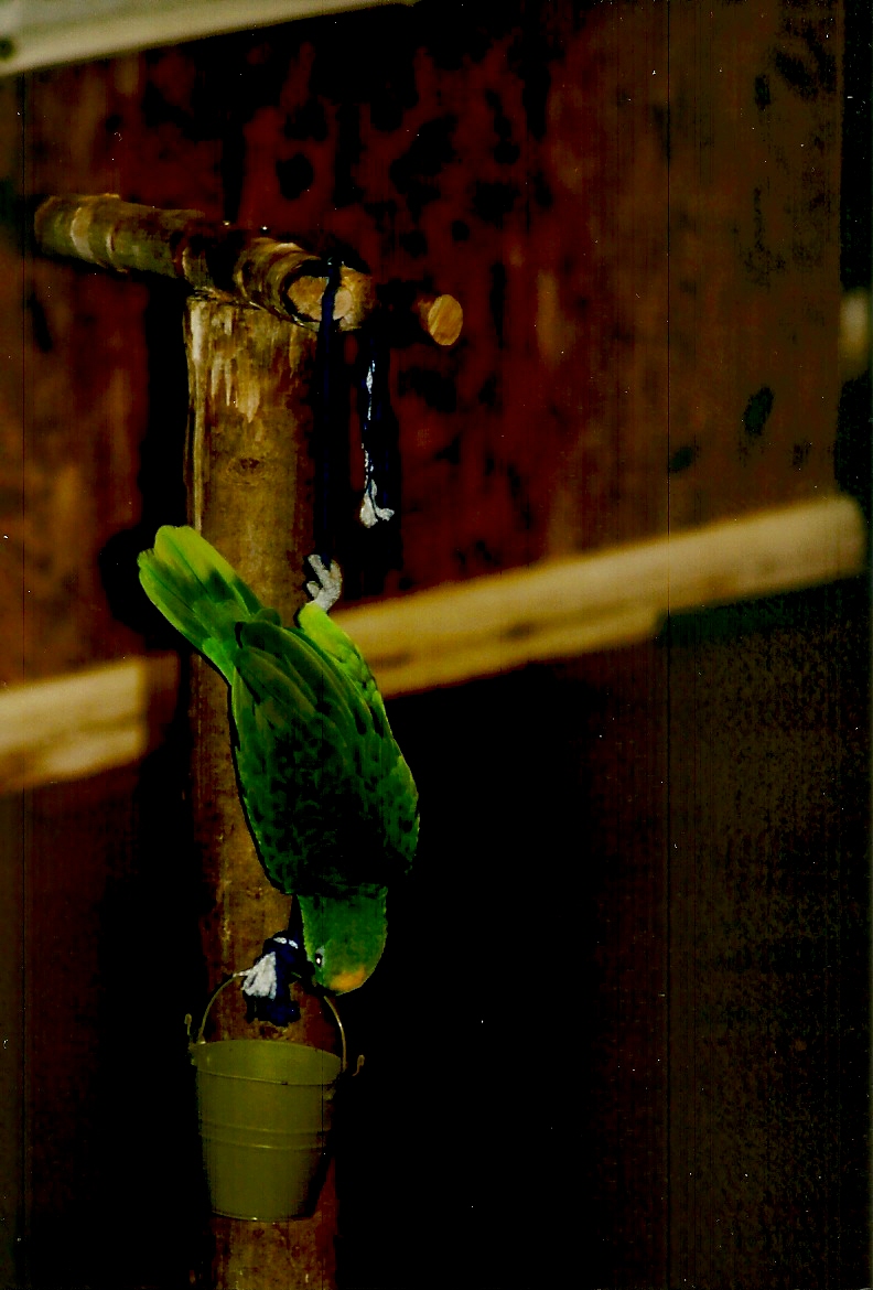 Bubba, September 2013