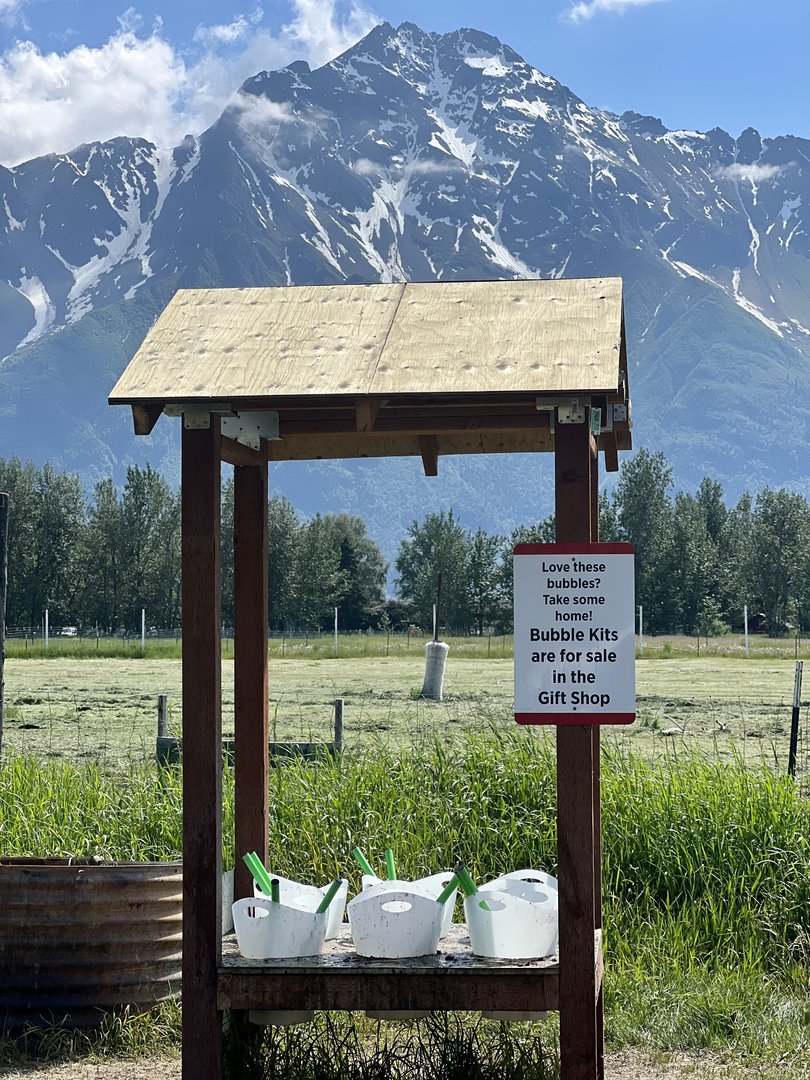 Bubble Station…one of many activities for children