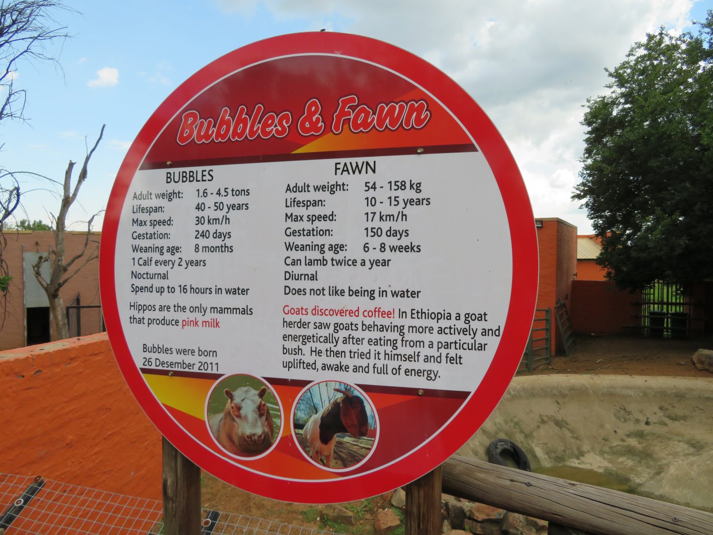 Bubbles & Fawn Zoo Sign