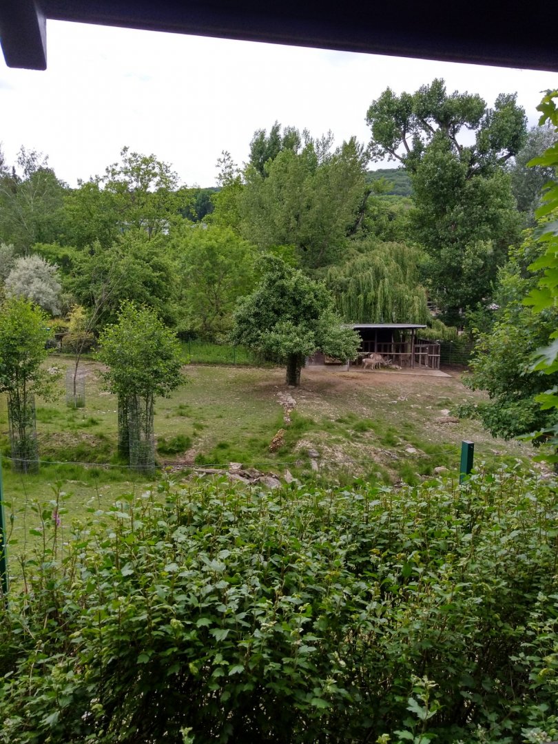 Buchara deer enclosure