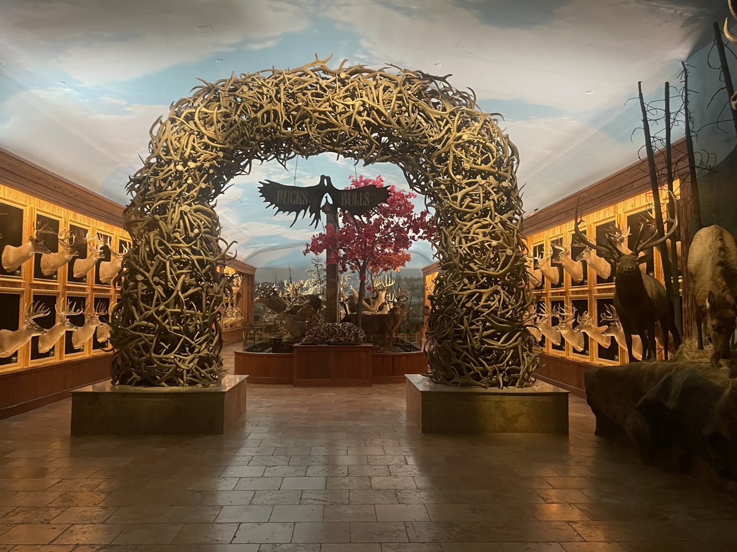 Bucks and Bulls Room