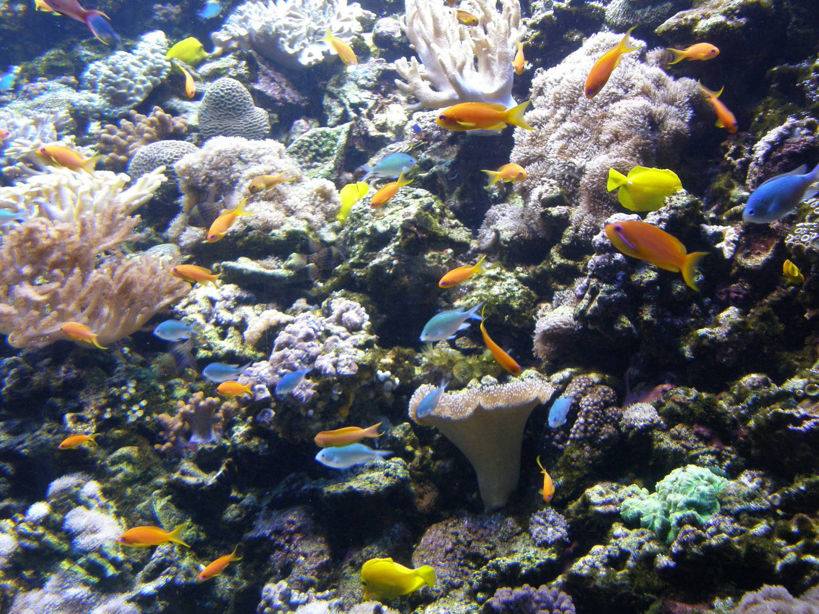 Budapest Tropiquarium