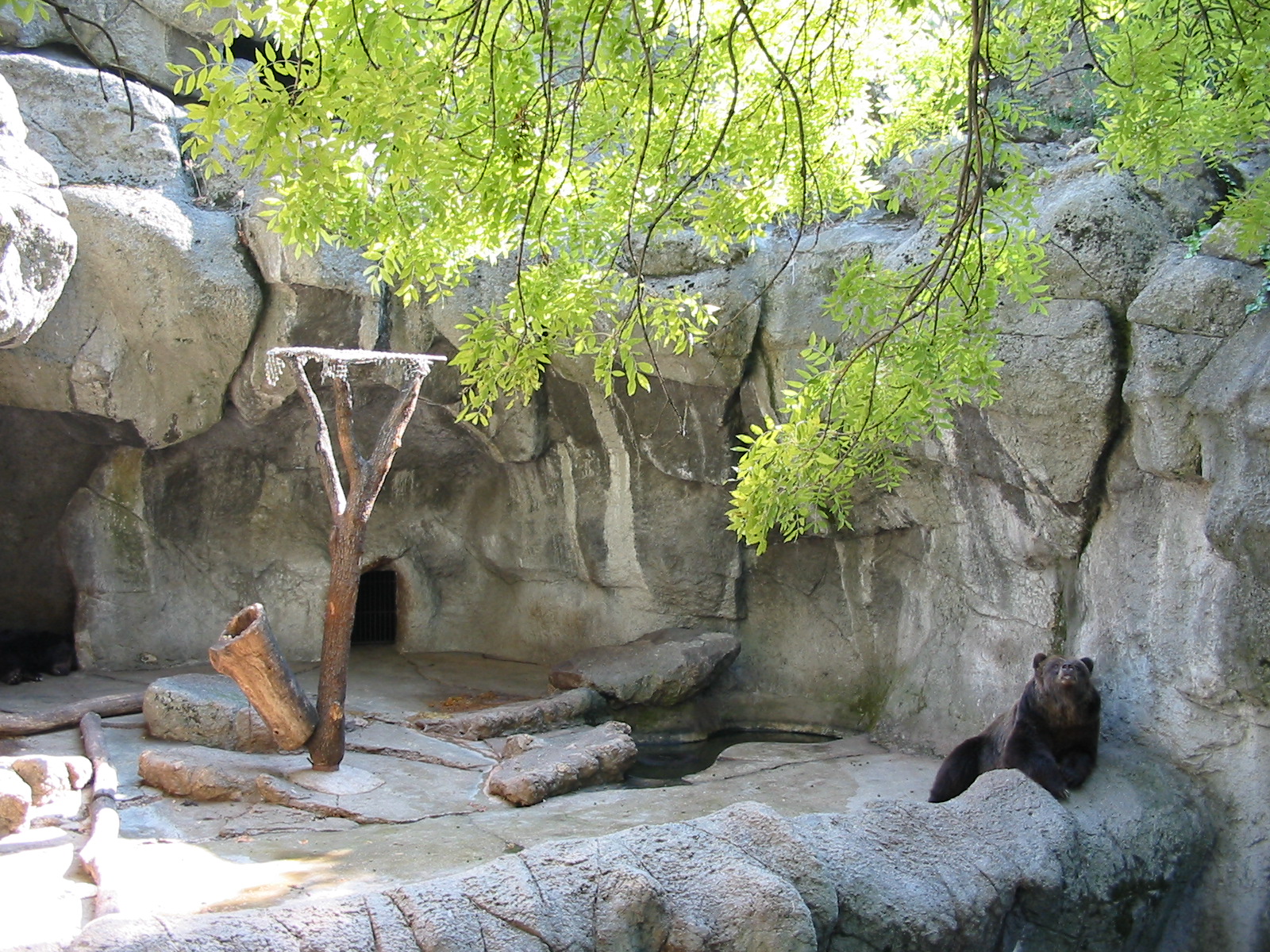 Budapest Zoo 2003 - Brown Bear exhibit on the historic Central Rock