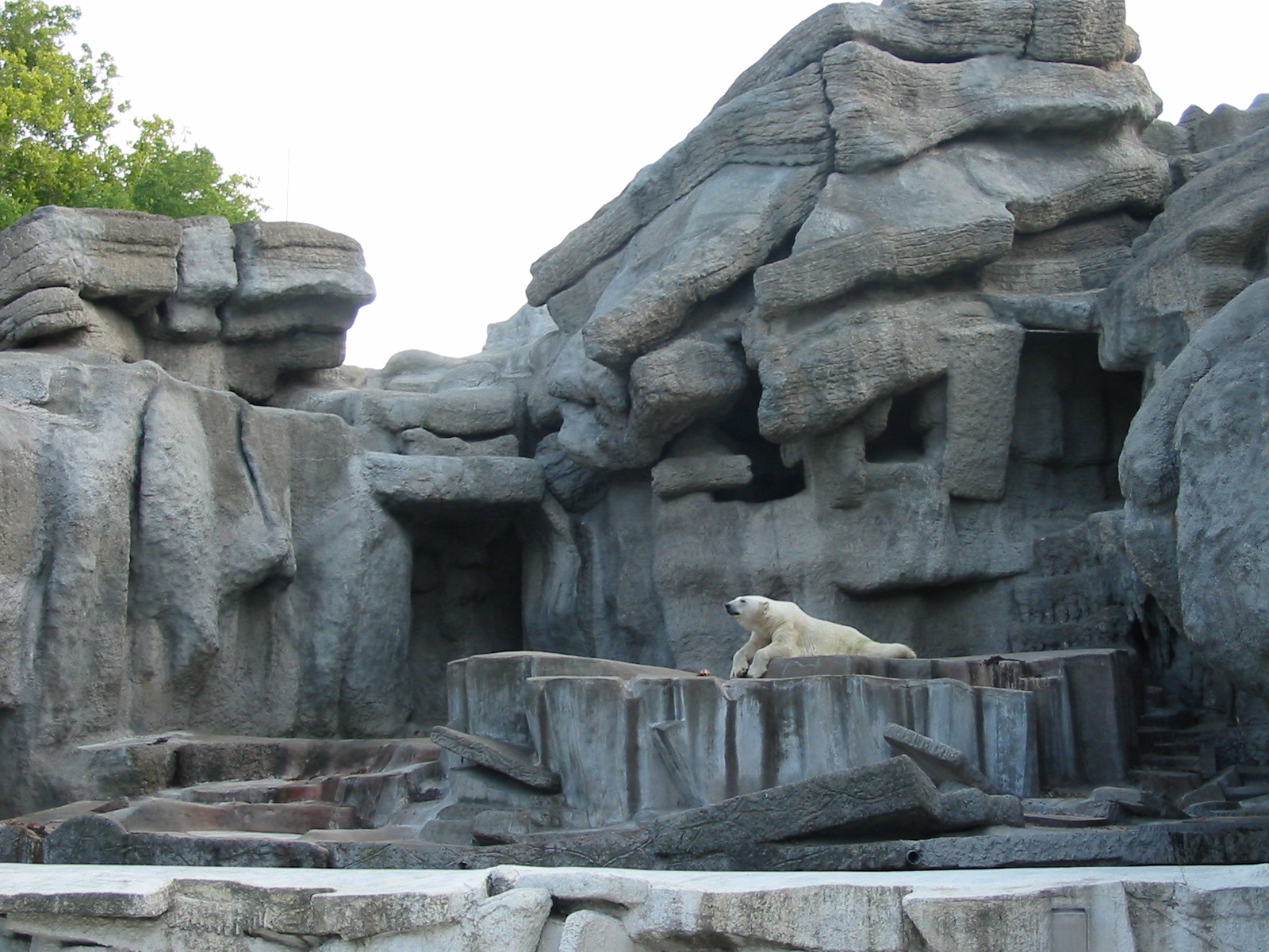 Budapest Zoo 2003 - Hagenbeck-style old Polar Bear exhibit