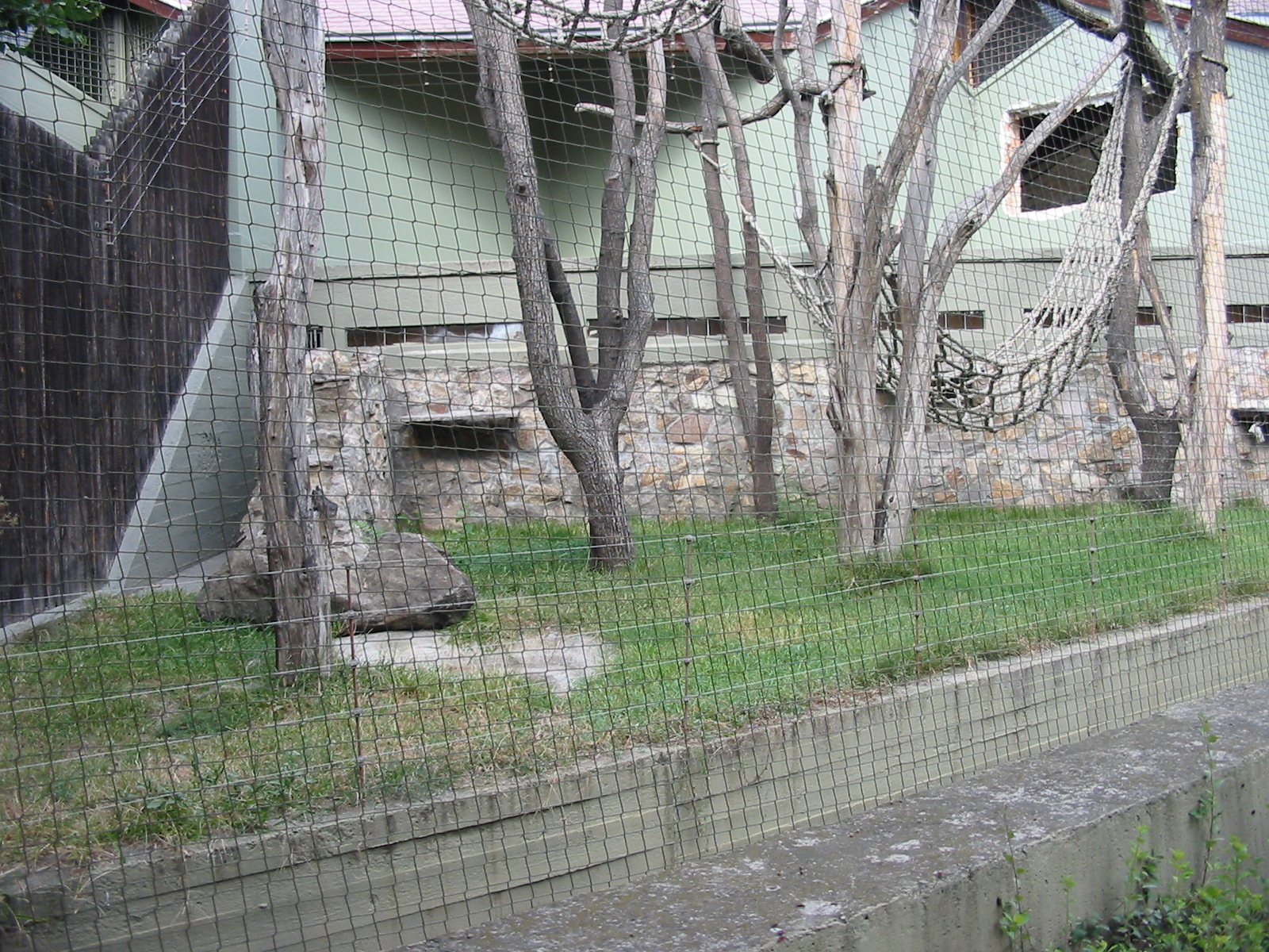 Budapest Zoo 2003 - Old Gorilla or Orangutan enclosure