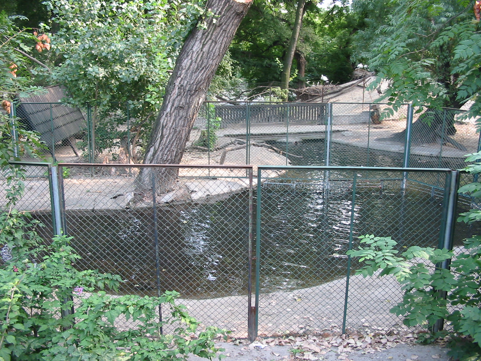 Budapest Zoo 2003 - Outdoor Crocodile enclosure