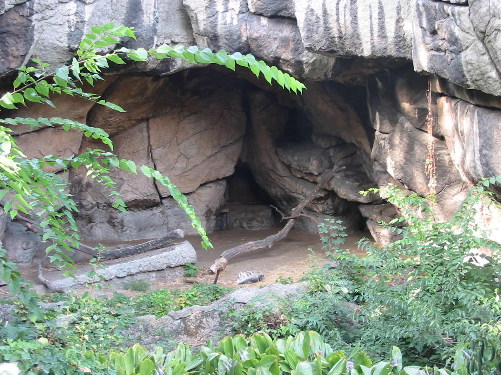 Budapest Zoo 2003 - Striped Hyena exhibit on the historic Central Rock
