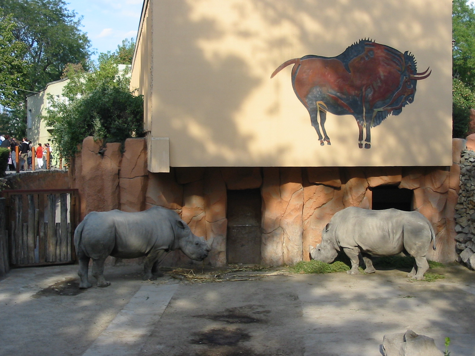 Budapest Zoo 2003 - White Rhinoceros exhibit
