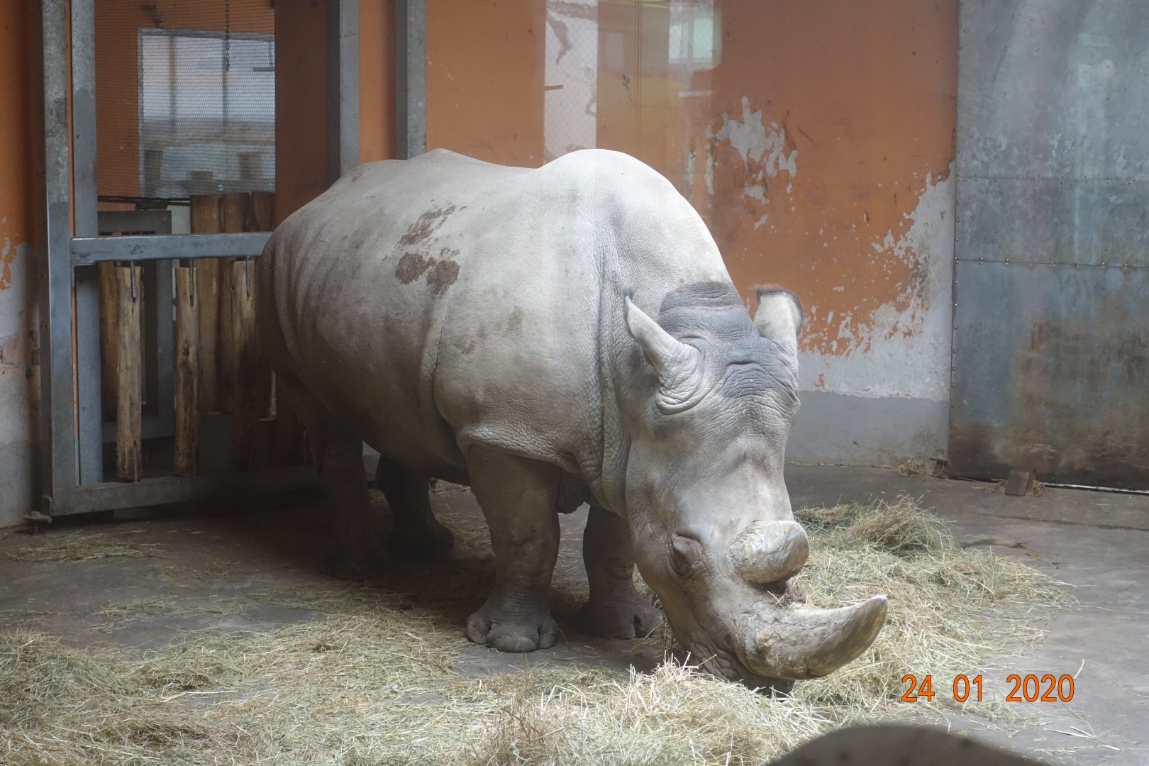 Budapest Zoo and Botanical Garden 24.1.20