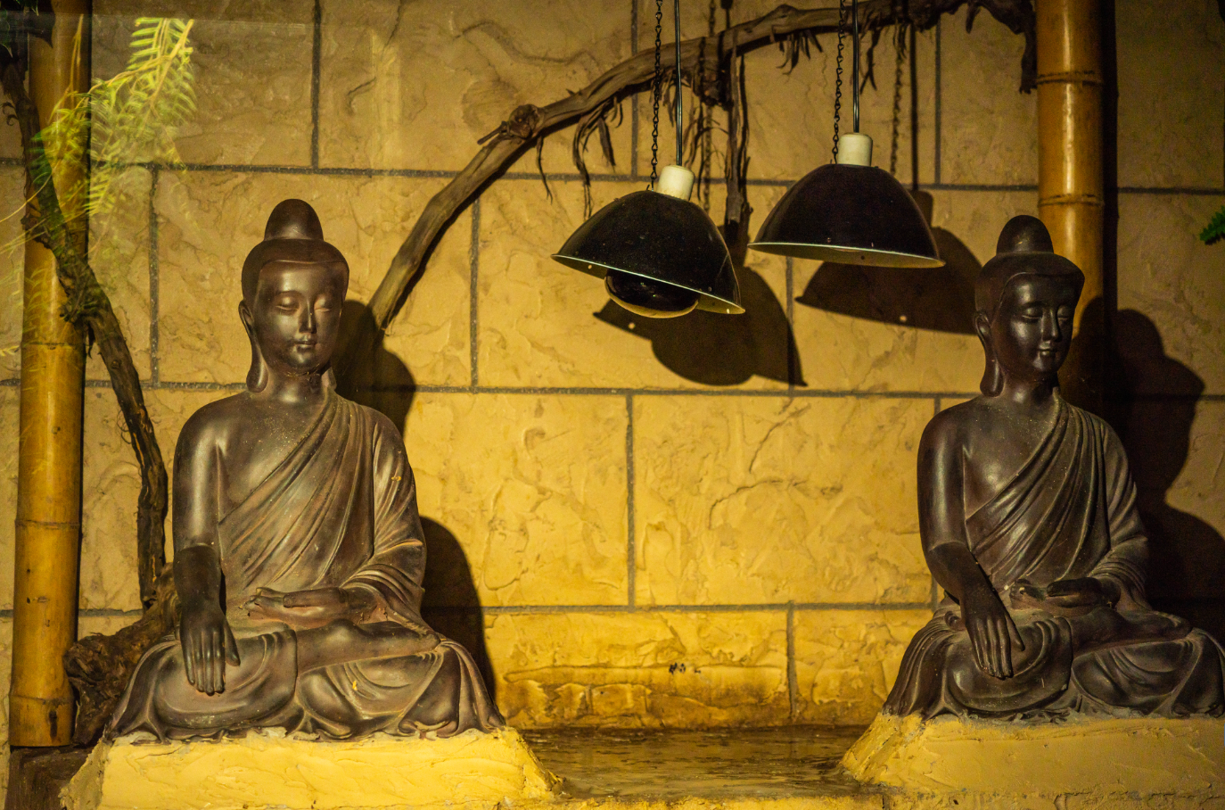 Buddhist Statues in Reticulated Python's Exhibit