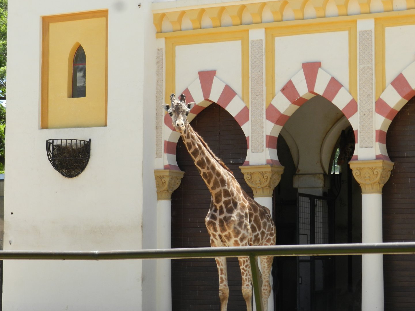 Buddy - Ecoparque BA