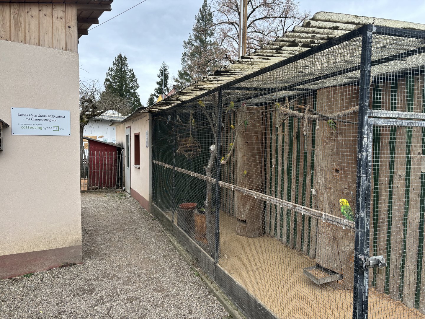 Budgerigar and Cockatiel enclosure at Zoo Wassertstern (Ingolstadt)