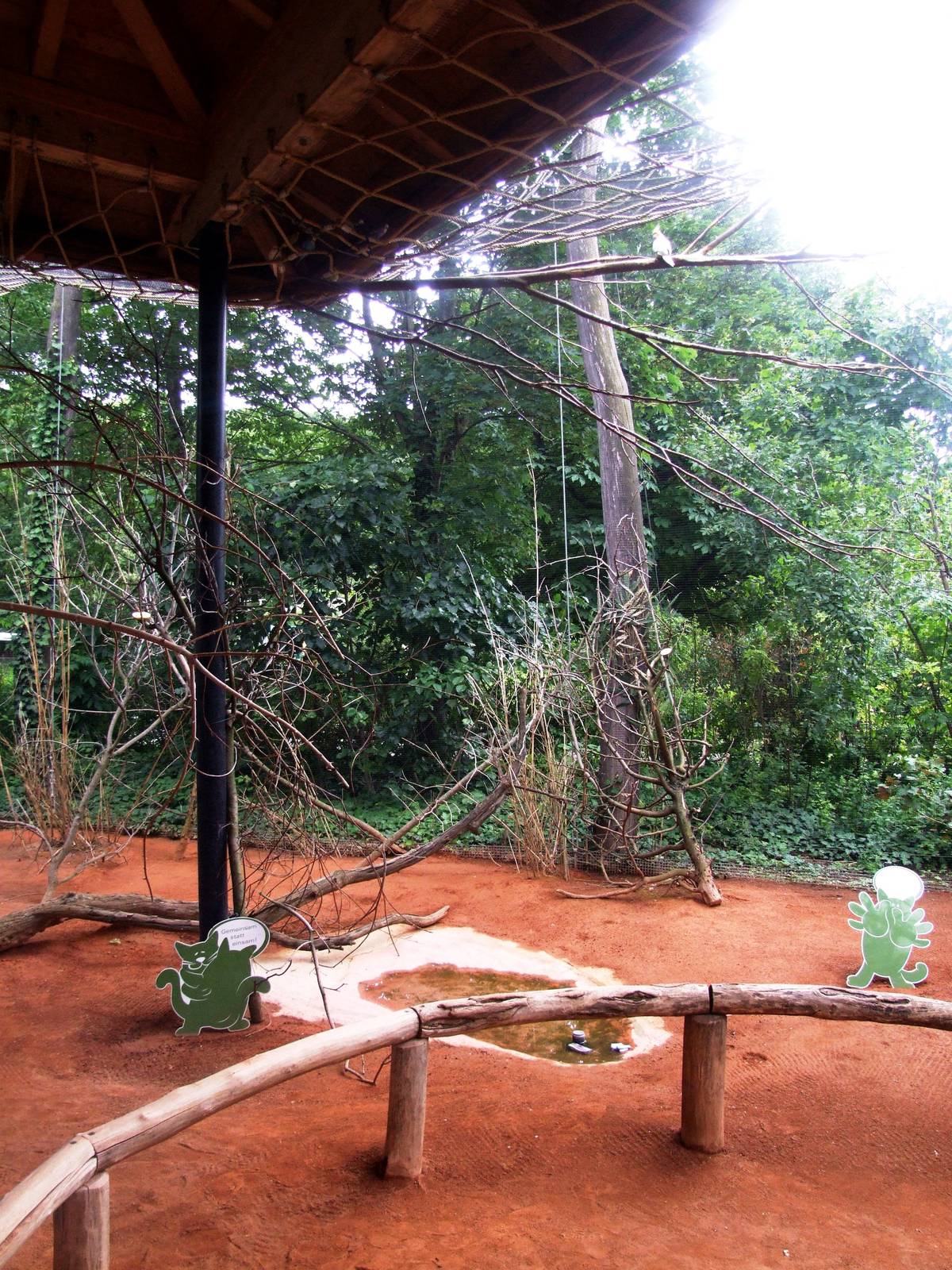 Budgerigar Aviary at Vienna, 14/06/13