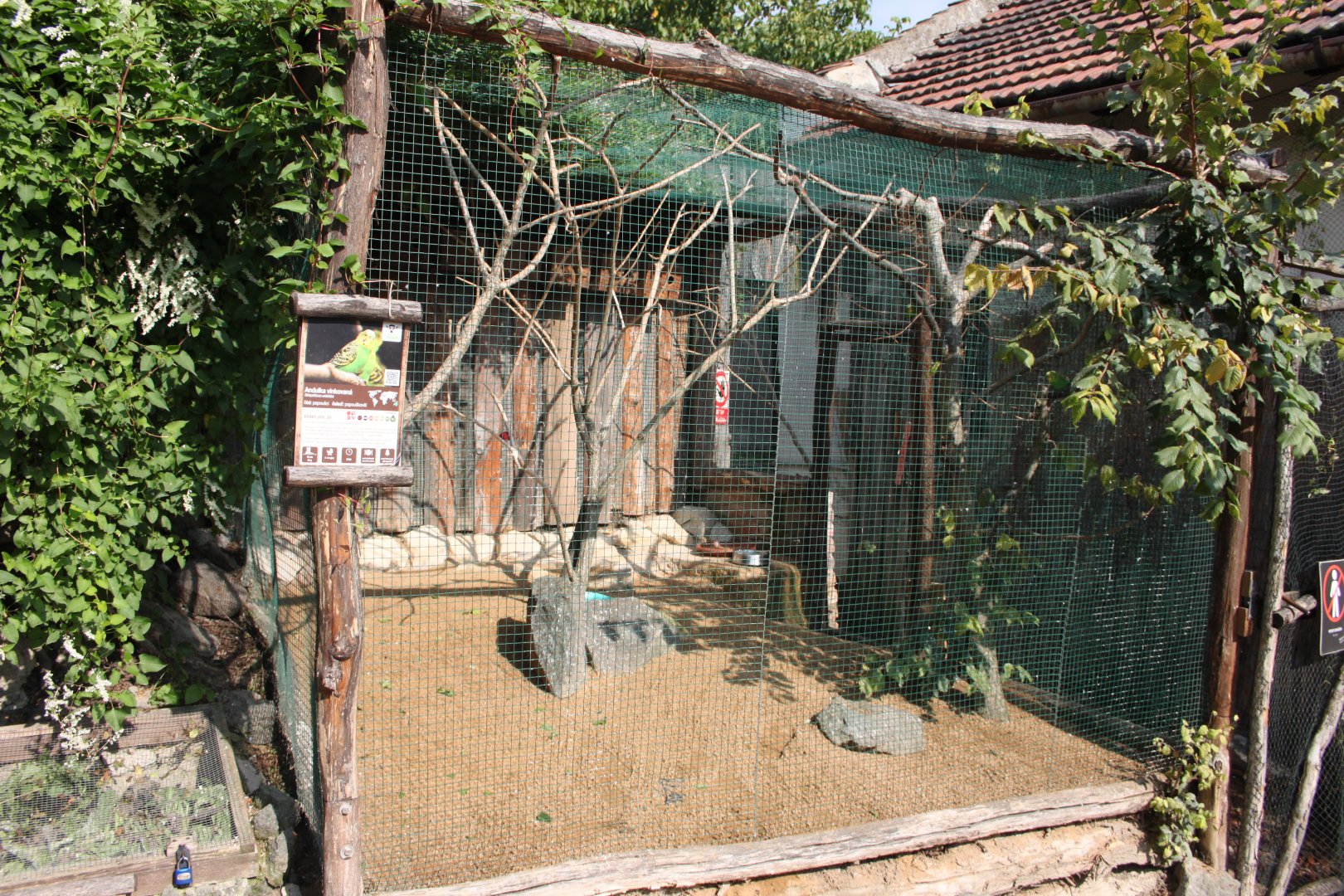 Budgerigar aviary